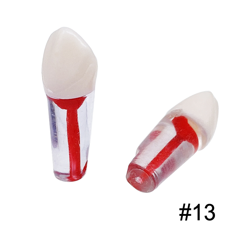 10Pcs Dental Endo Root Canal Teeth Model Study RCT Practice Typodont Model