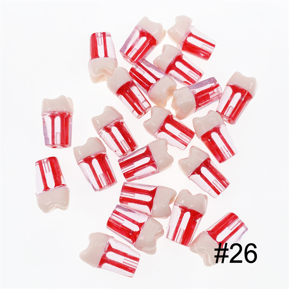 10Pcs Dental Endo Root Canal Teeth Model Study RCT Practice Typodont Model