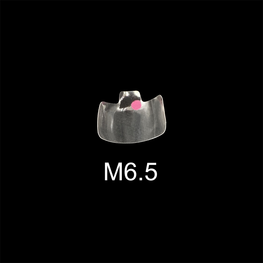 10Pcs Clear Matrix Dental Anterior Posterior Transparent BT Matrices Fit BioClear