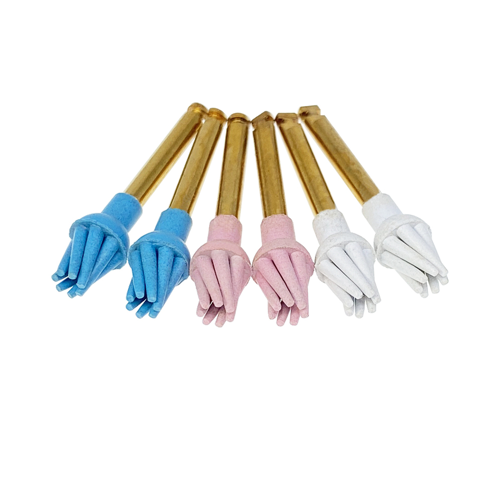 6Pcs/Box Dental Resin Polish Eagle Claw Wheel Brush For Posterior Teeth