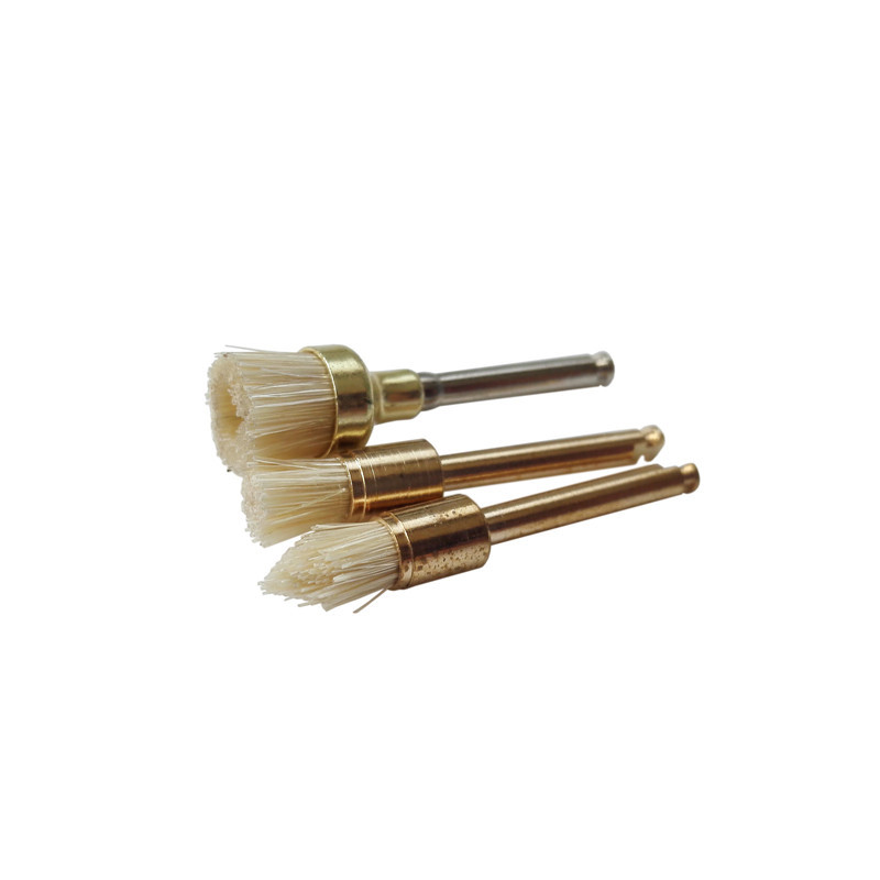 *Dental Polishing Polisher Brush Latch Bristles Gold-Plated Point/Flat/Bowl 100 Pcs / Bag