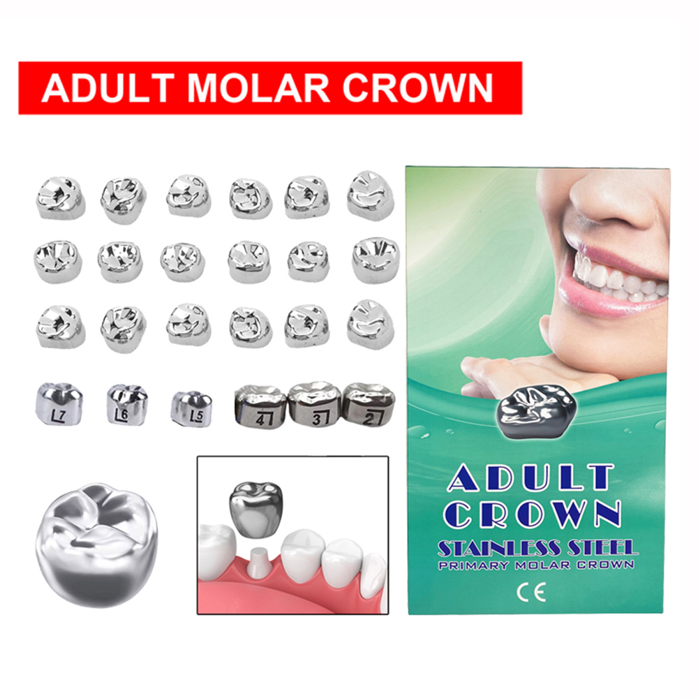 Dental Adult Permanent Molar Crowns Preformed Temporary Crown Stainless Steel