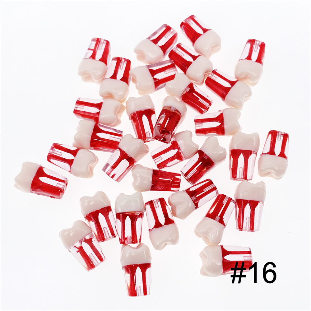 10Pcs Dental Endo Root Canal Teeth Model Study RCT Practice Typodont Model