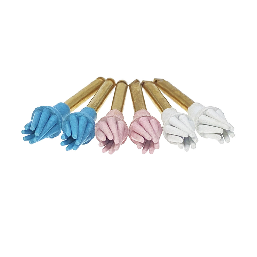 6Pcs/Box Dental Resin Polish Eagle Claw Wheel Brush For Posterior Teeth