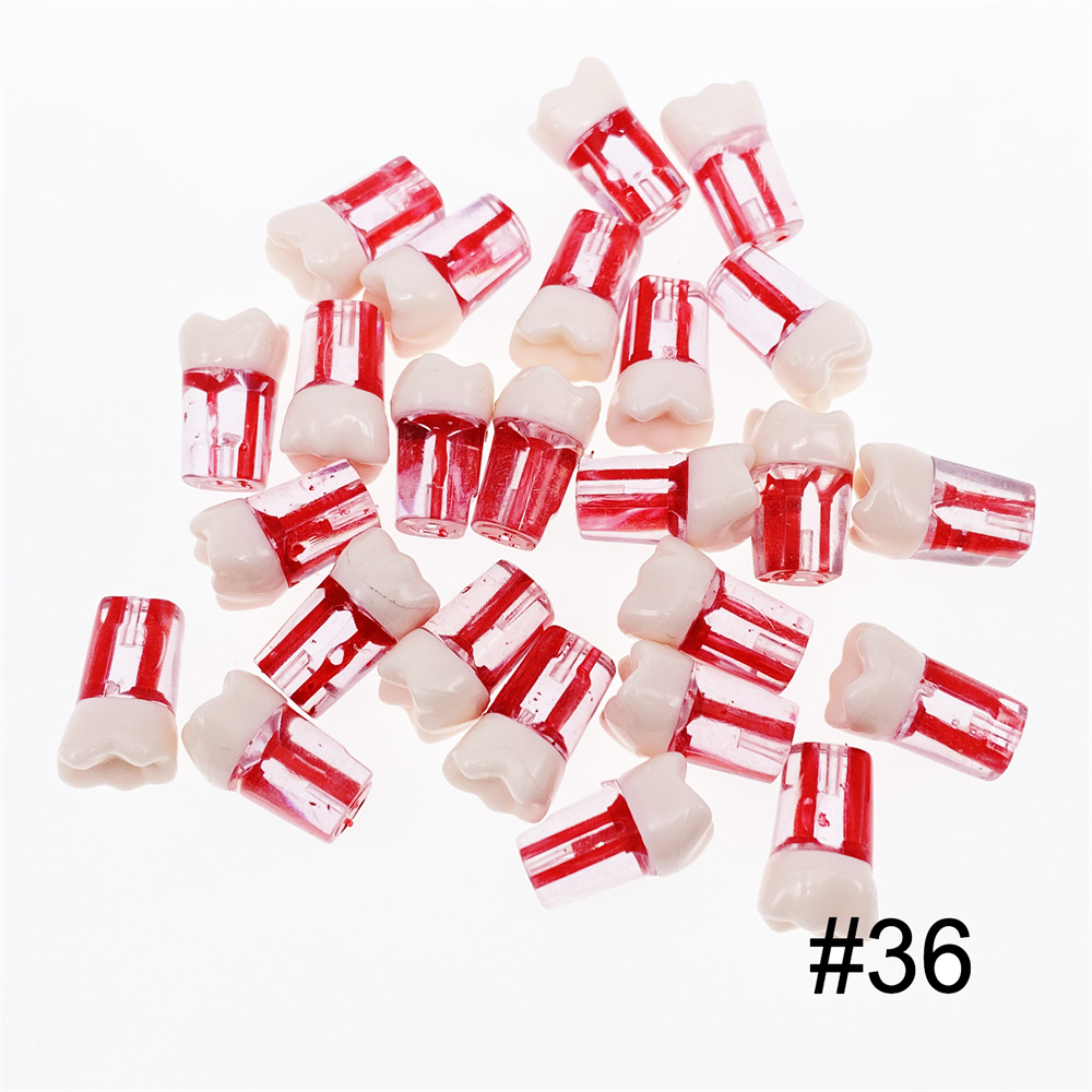10Pcs Dental Endo Root Canal Teeth Model Study RCT Practice Typodont Model