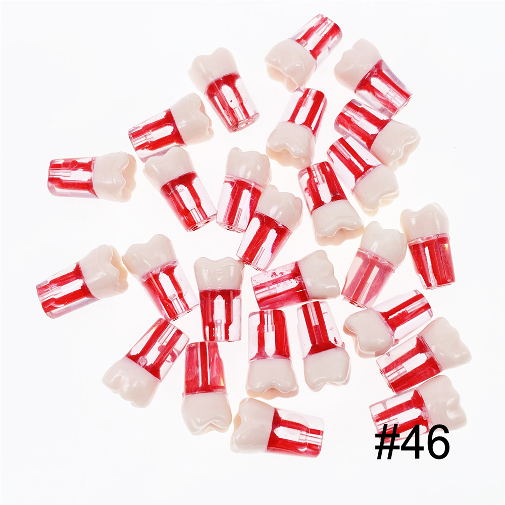 10Pcs Dental Endo Root Canal Teeth Model Study RCT Practice Typodont Model