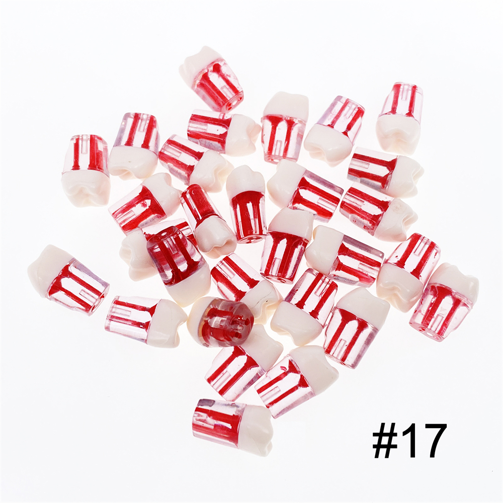 10Pcs Dental Endo Root Canal Teeth Model Study RCT Practice Typodont Model