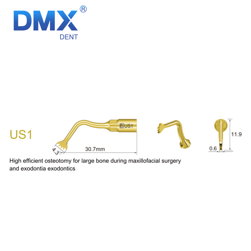 US1 US2 US3 US4 US5 US6 DMXDENT Dental Scaler Piezo Surgery Ultrasonic Tip Fit Woodpecker