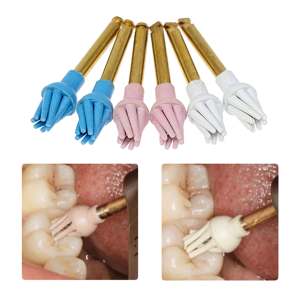 6Pcs/Box Dental Resin Polish Eagle Claw Wheel Brush For Posterior Teeth