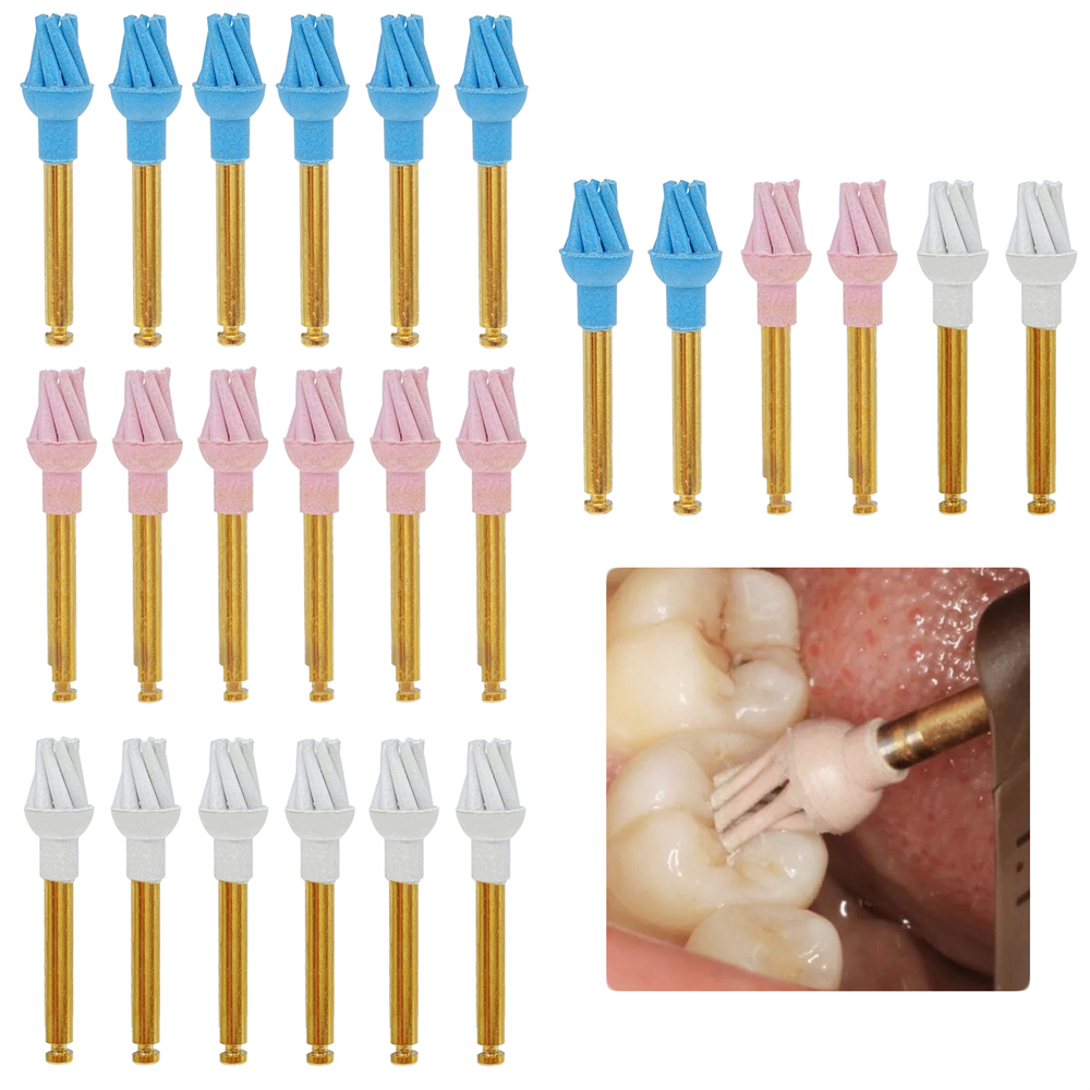 6Pcs/Box Dental Resin Polish Eagle Claw Wheel Brush For Posterior Teeth