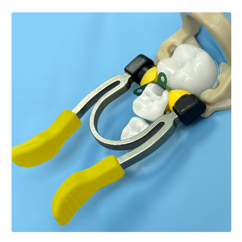Dental Pediatric Kids Matrix Bands Ring Clamps For Primary/Young Permanent Teeth
