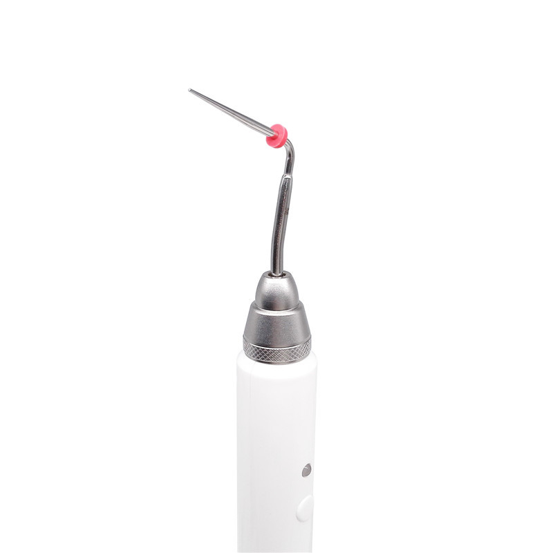 **Dental Endodontic Cordless Gutta Percha Obturation System Heating Pen + 2pc Tips