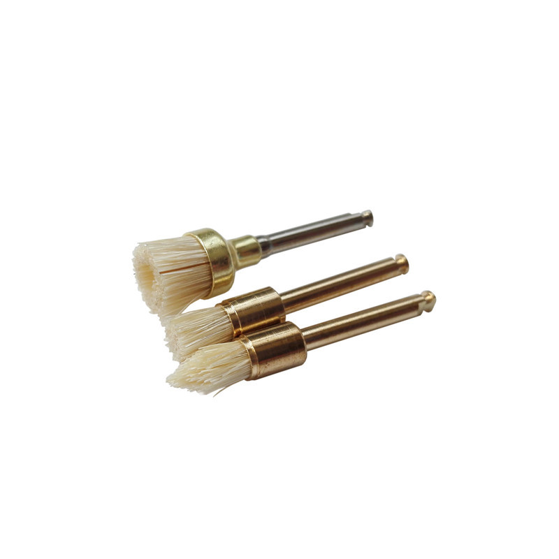 *Dental Polishing Polisher Brush Latch Bristles Gold-Plated Point/Flat/Bowl 100 Pcs / Bag