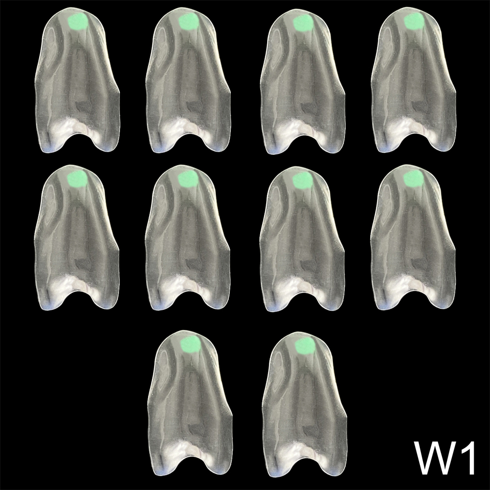 10Pcs Clear Matrix Dental Anterior Posterior Transparent BT Matrices Fit BioClear
