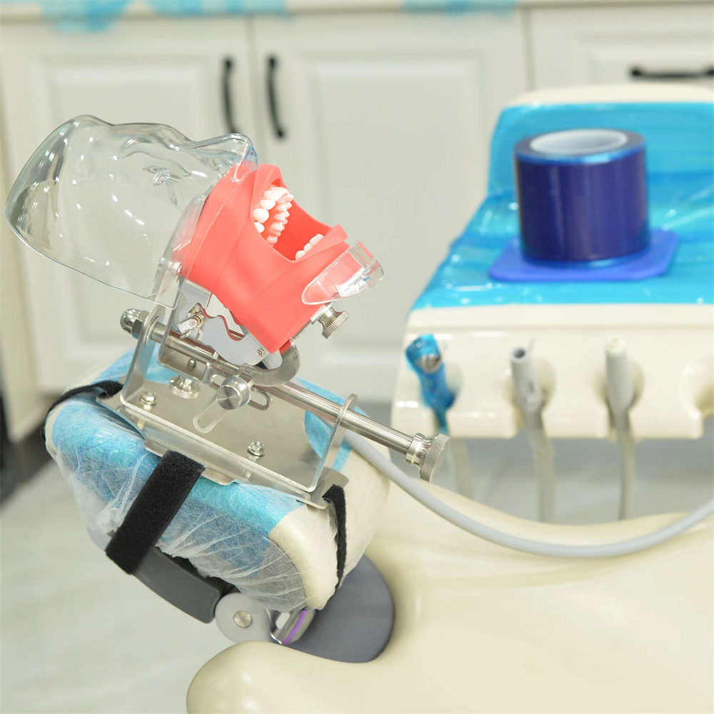 10Pcs Dental Endo Root Canal Teeth Model Study RCT Practice Typodont Model