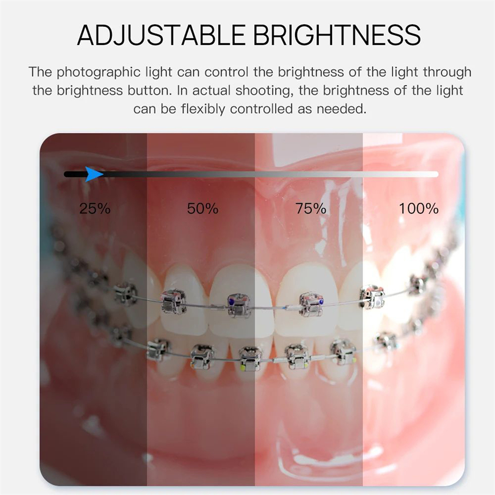 Handheld Dental Intraoral Photography Light Oral Photo Video LED Filling Light
