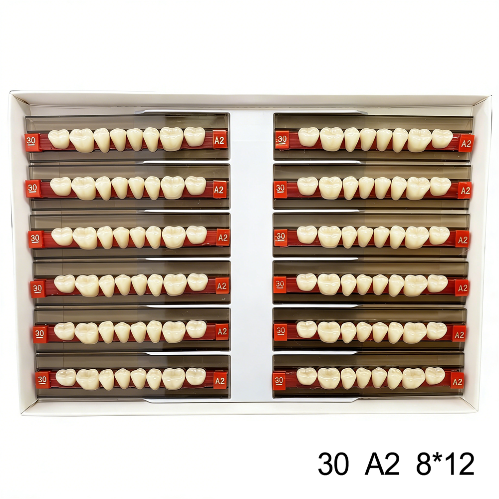 Dental Acrylic Resin Denture False Teeth Anterior DIY Lab A1/A2/A3 U/L Full size