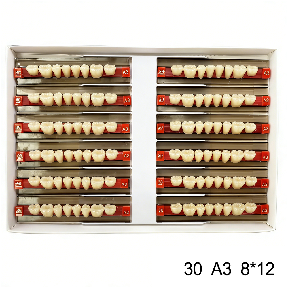 Dental Acrylic Resin Denture False Teeth Anterior DIY Lab A1/A2/A3 U/L Full size