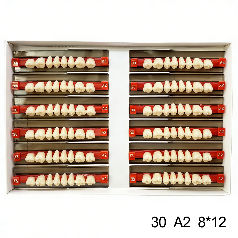 Dental Acrylic Resin Denture False Teeth Anterior DIY Lab A1/A2/A3 U/L Full size