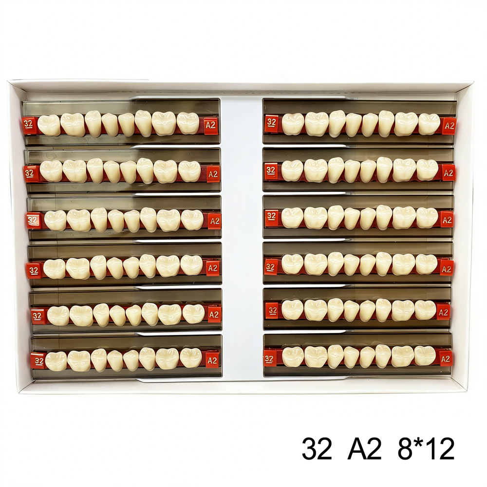 Dental Acrylic Resin Denture False Teeth Anterior DIY Lab A1/A2/A3 U/L Full size