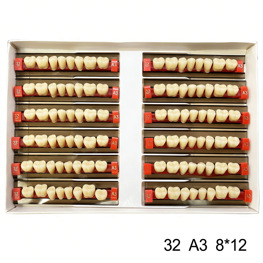 Dental Acrylic Resin Denture False Teeth Anterior DIY Lab A1/A2/A3 U/L Full size