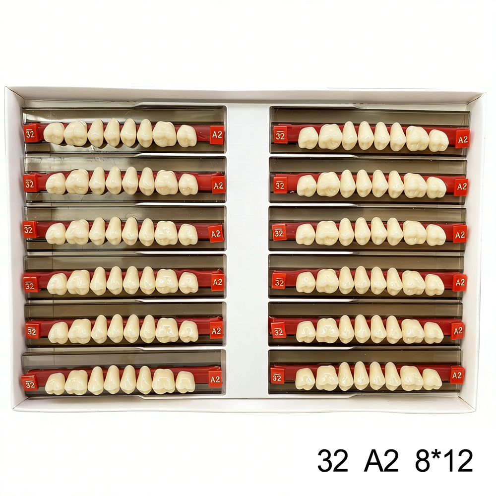 Dental Acrylic Resin Denture False Teeth Anterior DIY Lab A1/A2/A3 U/L Full size