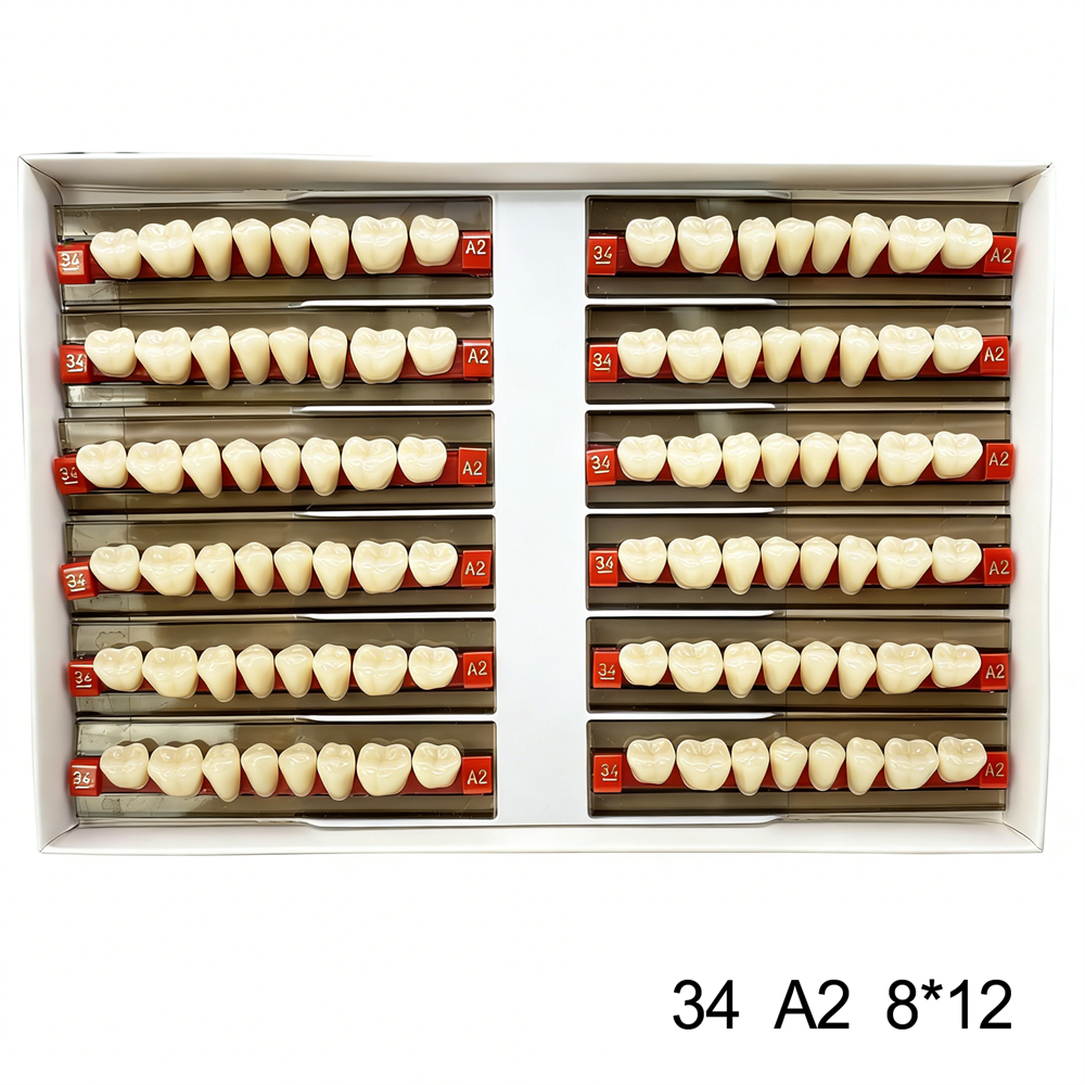 Dental Acrylic Resin Denture False Teeth Anterior DIY Lab A1/A2/A3 U/L Full size