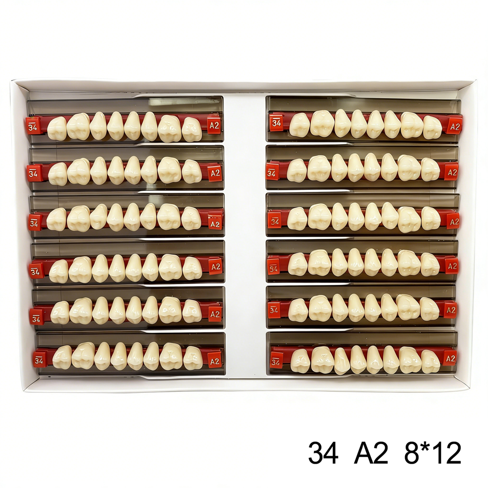 Dental Acrylic Resin Denture False Teeth Anterior DIY Lab A1/A2/A3 U/L Full size