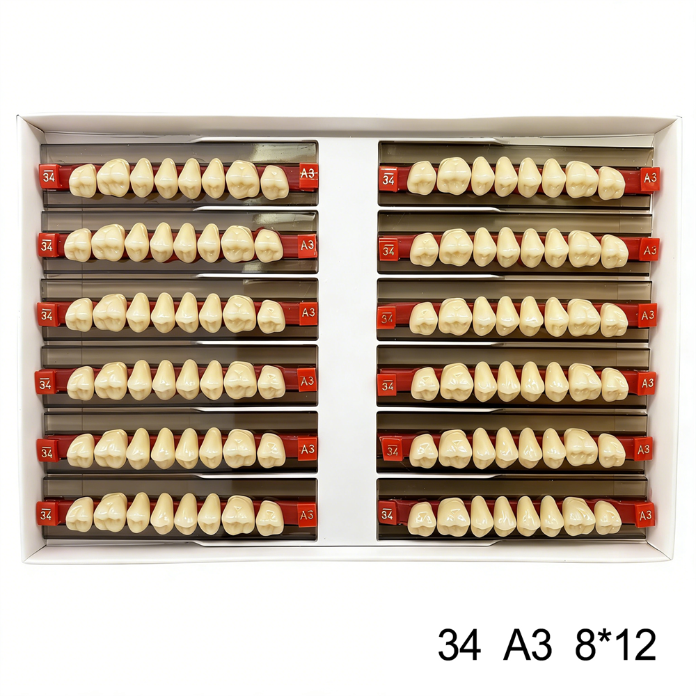 Dental Acrylic Resin Denture False Teeth Anterior DIY Lab A1/A2/A3 U/L Full size