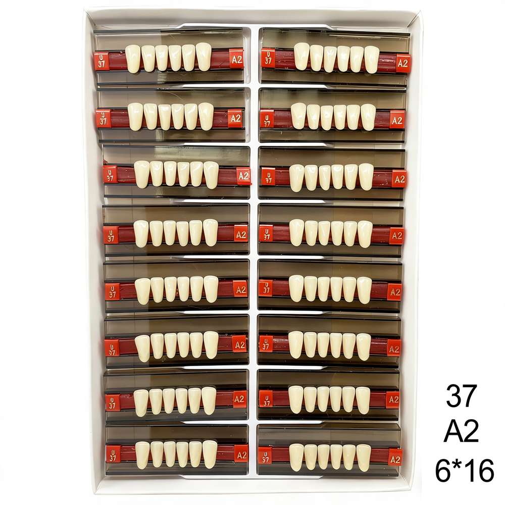Dental Acrylic Resin Denture False Teeth Anterior DIY Lab A1/A2/A3 U/L Full size