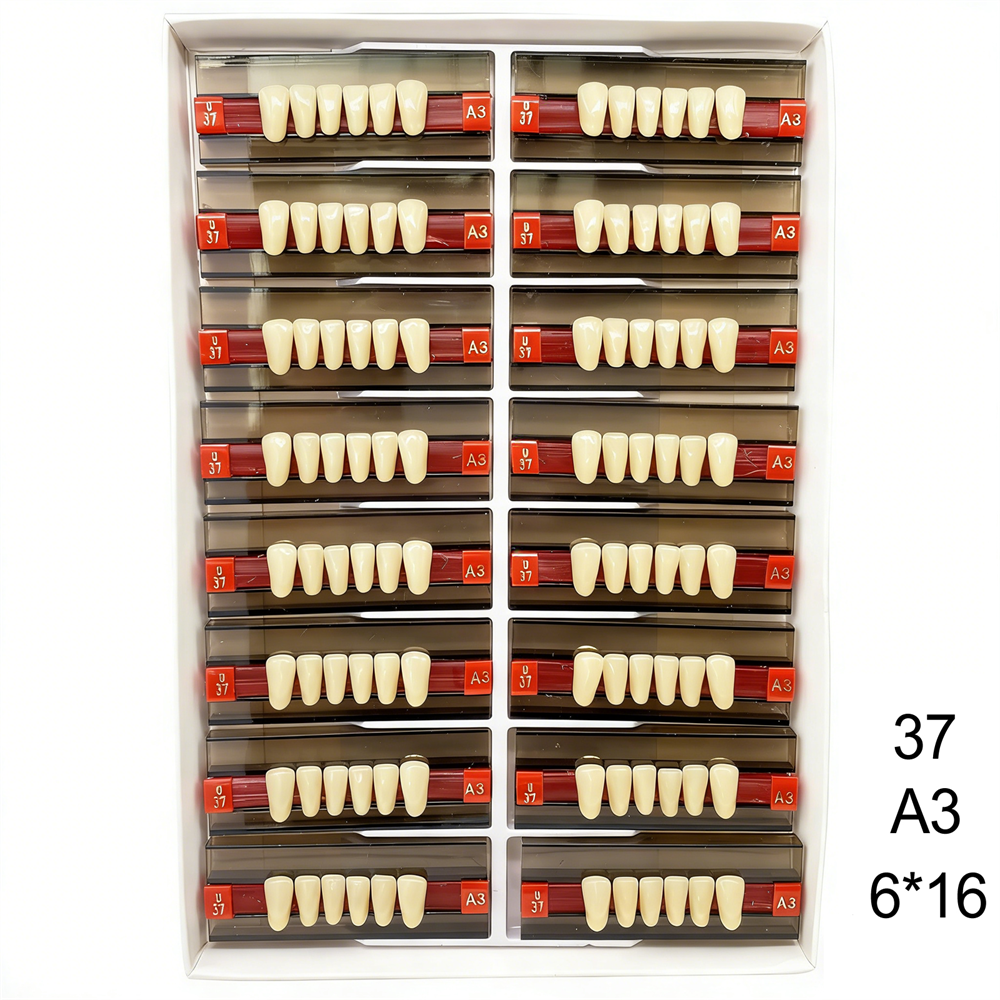 Dental Acrylic Resin Denture False Teeth Anterior DIY Lab A1/A2/A3 U/L Full size