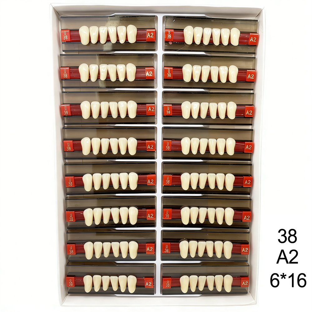 Dental Acrylic Resin Denture False Teeth Anterior DIY Lab A1/A2/A3 U/L Full size
