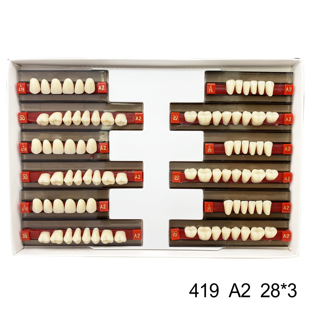 Dental Acrylic Resin Denture False Teeth Anterior DIY Lab A1/A2/A3 U/L Full size