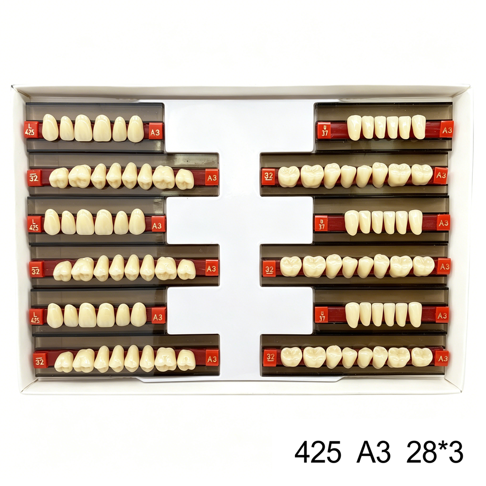 Dental Acrylic Resin Denture False Teeth Anterior DIY Lab A1/A2/A3 U/L Full size