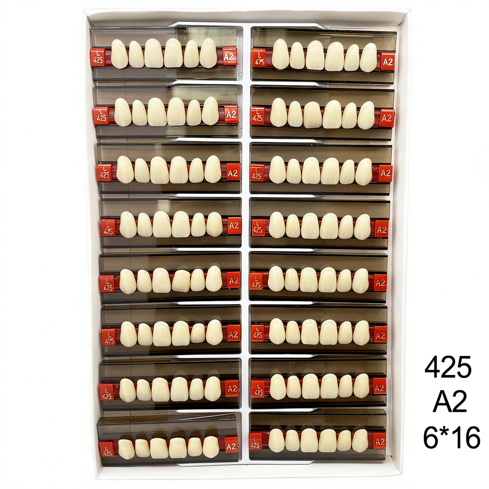 Dental Acrylic Resin Denture False Teeth Anterior DIY Lab A1/A2/A3 U/L Full size