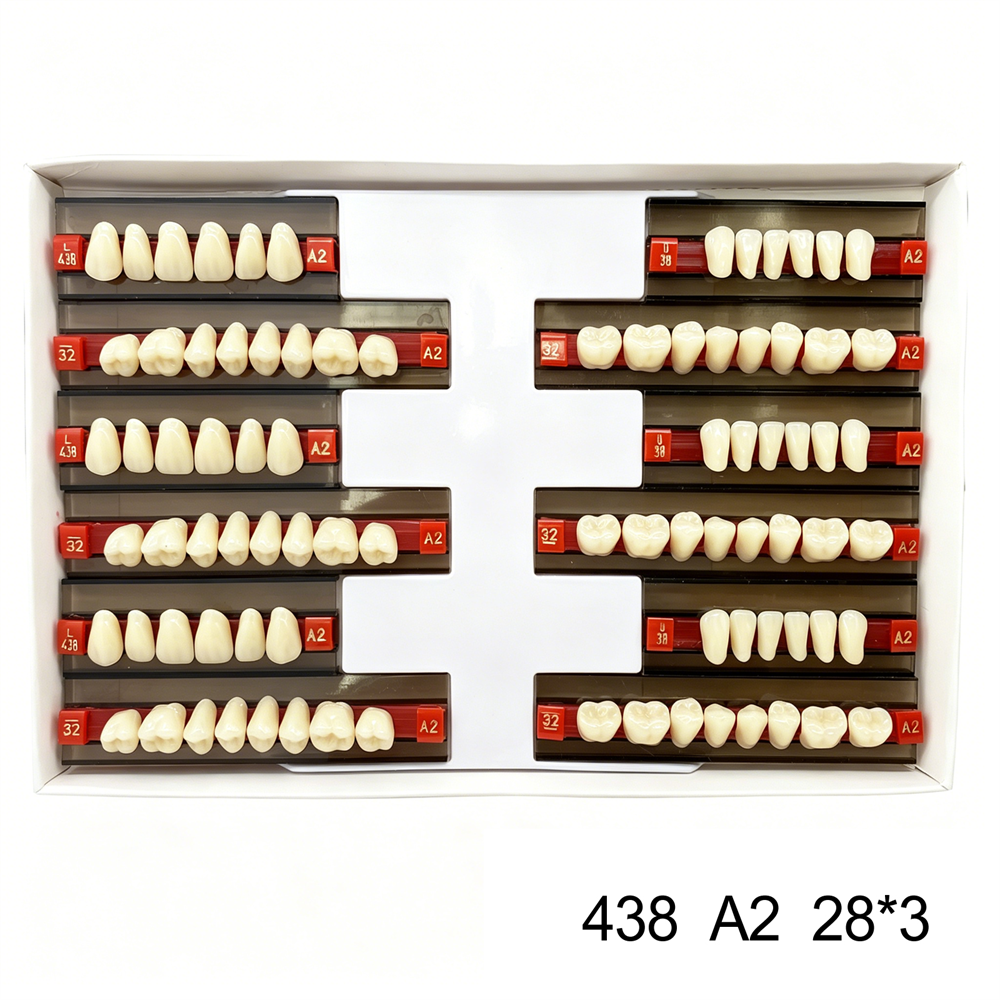 Dental Acrylic Resin Denture False Teeth Anterior DIY Lab A1/A2/A3 U/L Full size