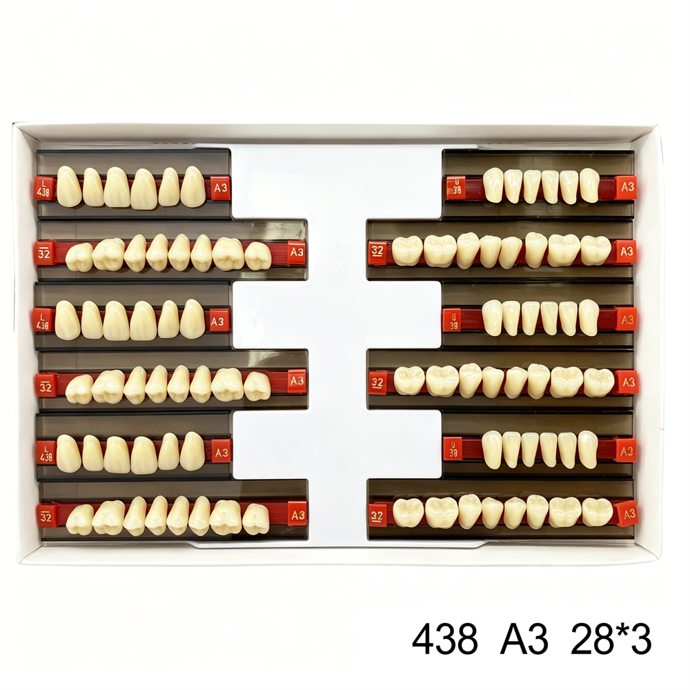 Dental Acrylic Resin Denture False Teeth Anterior DIY Lab A1/A2/A3 U/L Full size