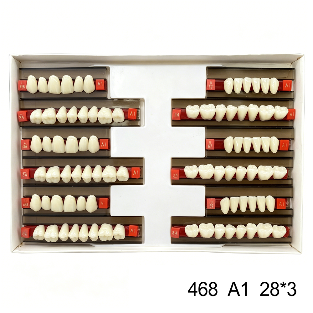 Dental Acrylic Resin Denture False Teeth Anterior DIY Lab A1/A2/A3 U/L Full size