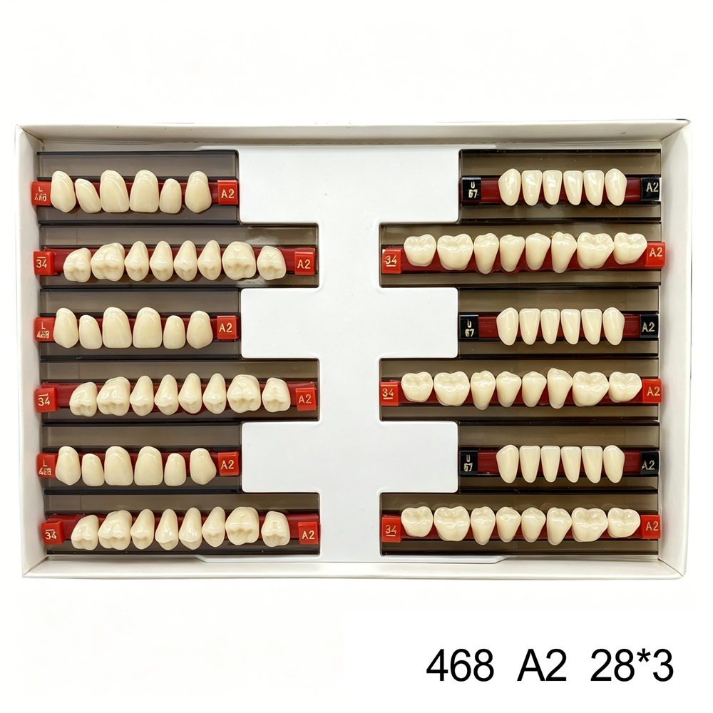 Dental Acrylic Resin Denture False Teeth Anterior DIY Lab A1/A2/A3 U/L Full size