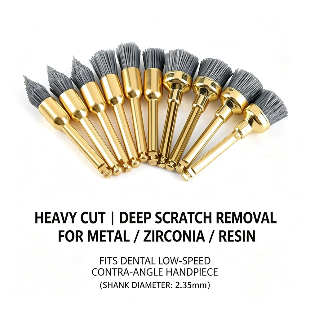 Dental Polishing Polisher Brush Prophy Alumina Bowl Point Flat Type