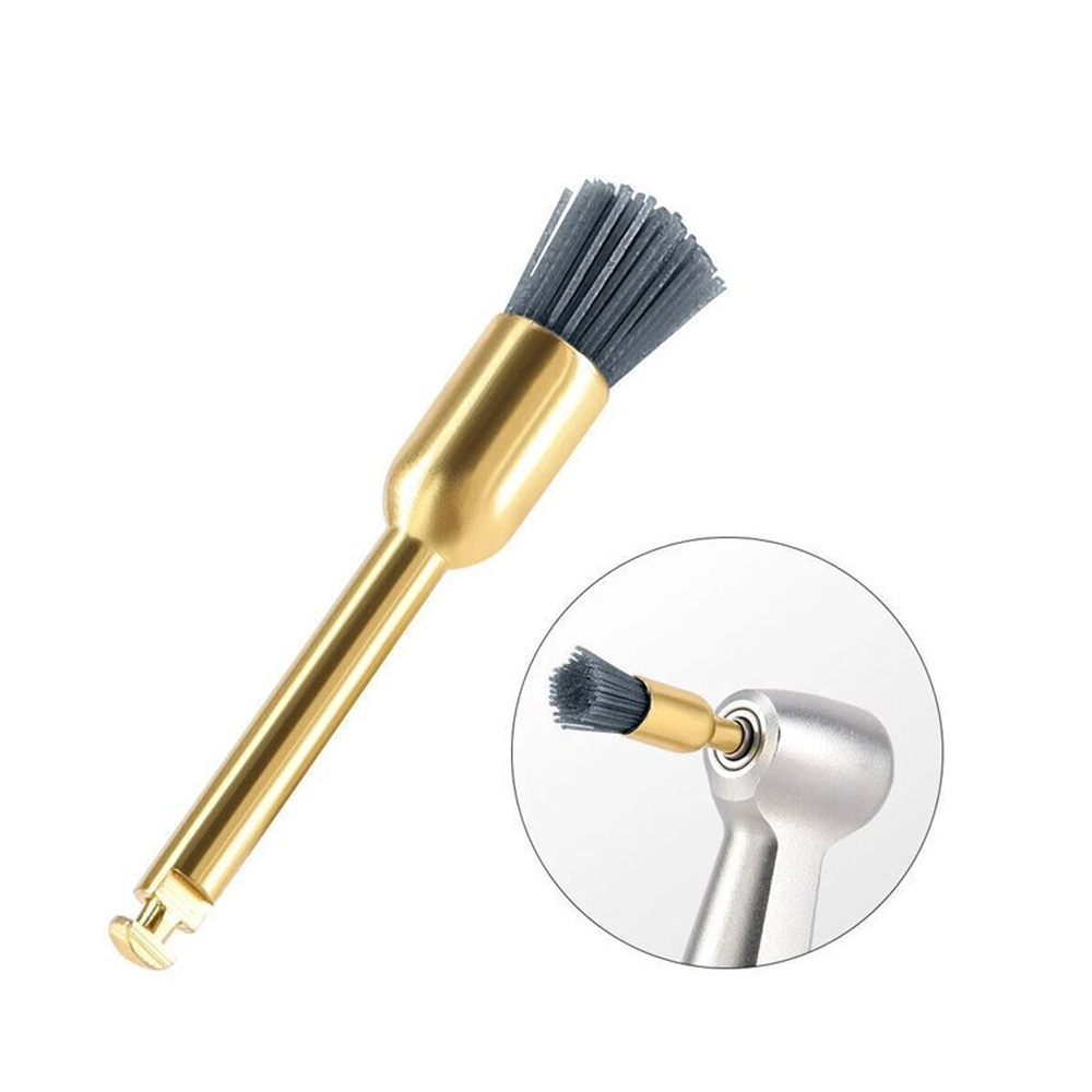Dental Polishing Polisher Brush Prophy Alumina Bowl Point Flat Type