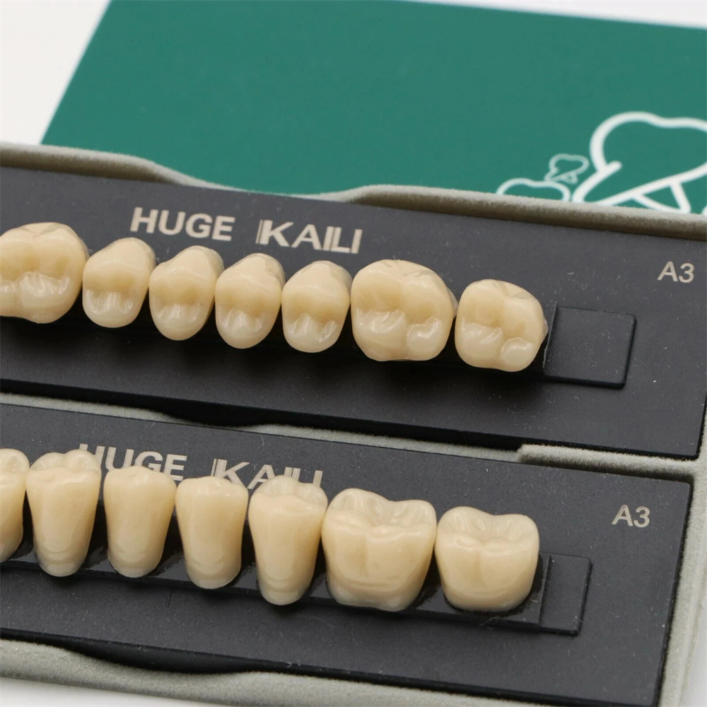 28Pcs/Set HUGE Dental Acrylic Resin Denture False Synthetic Teeth A1/A2/A3, T4/T6/T8