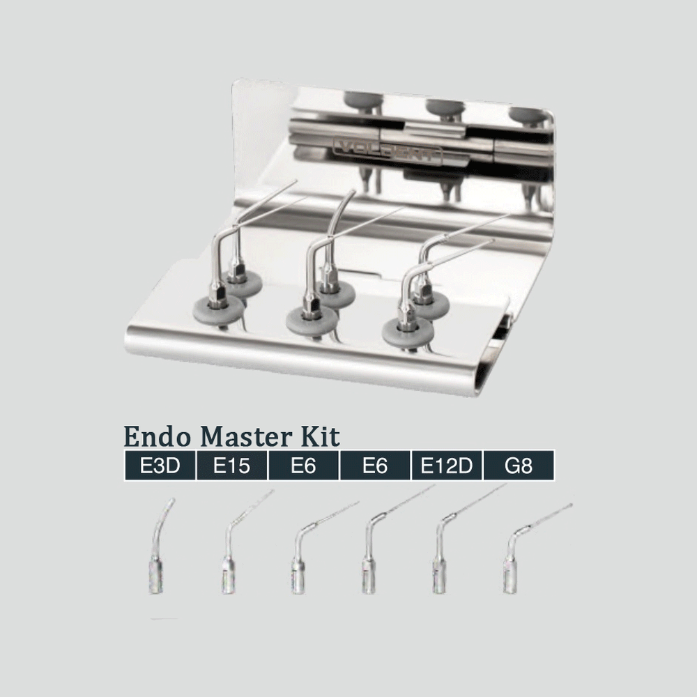 Dental Endo Master Stainless Steel Ultrasonic Scaler Tips Kit 5 Types