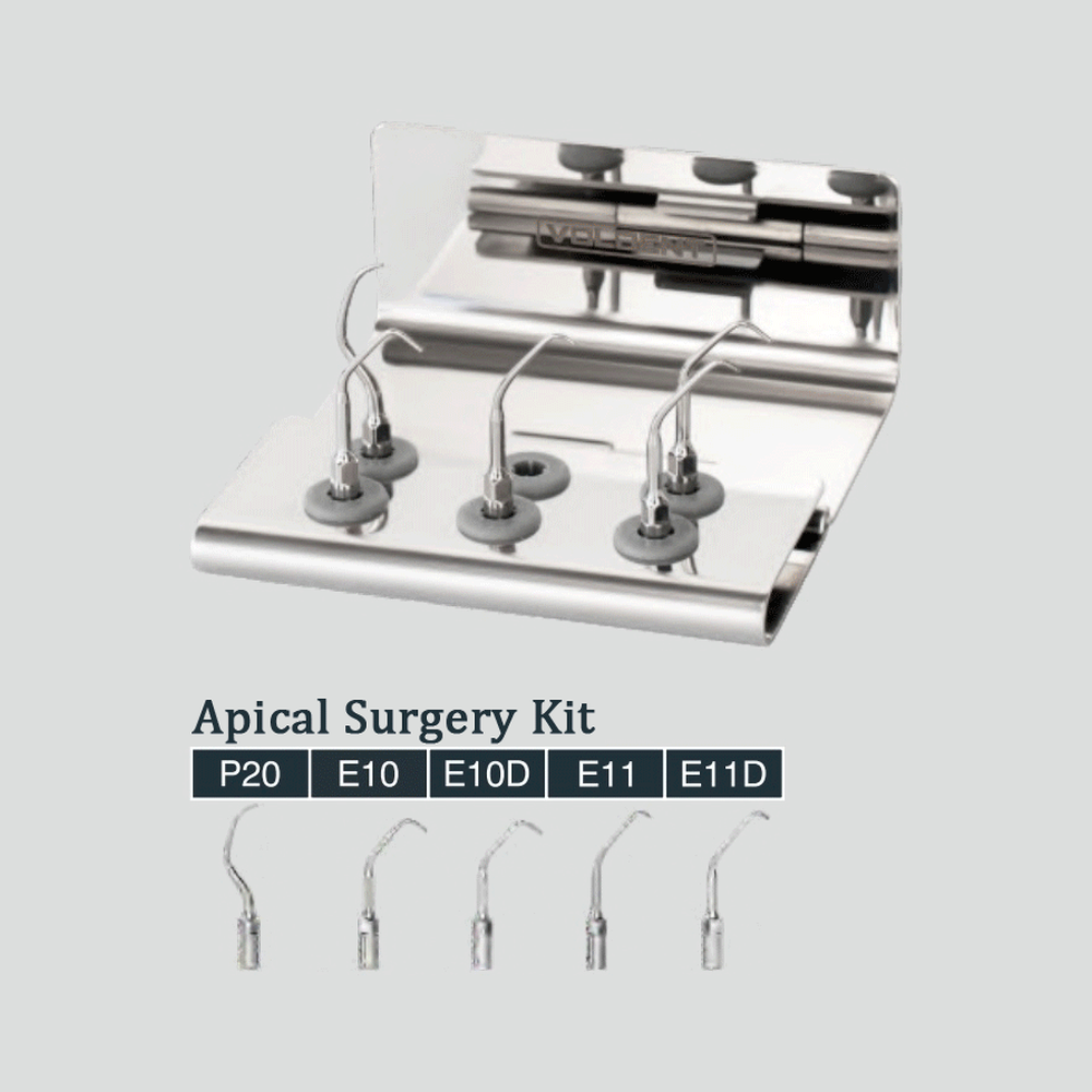 Dental Apical Surgery Stainless Steel Ultrasonic Scaler Tips Kit 5 Types