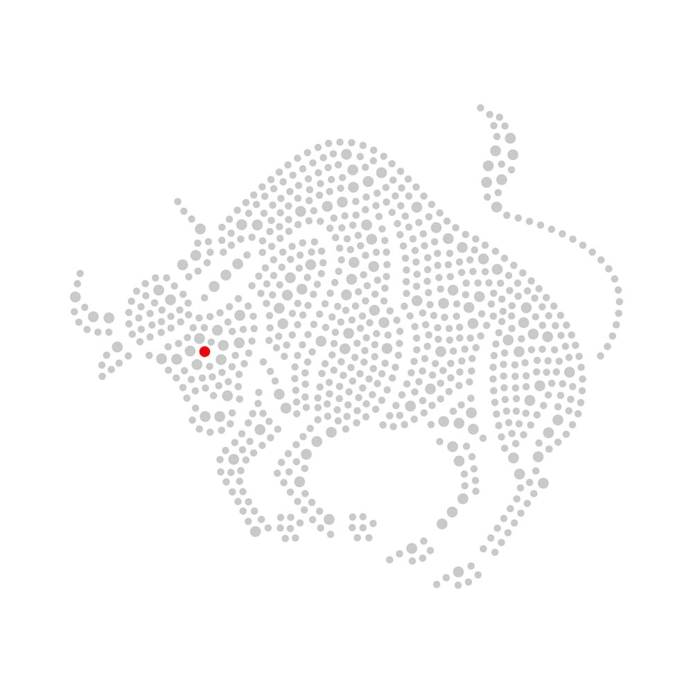 Africa Lion Bull Design Crystal Transfer Rhinestone Bling
