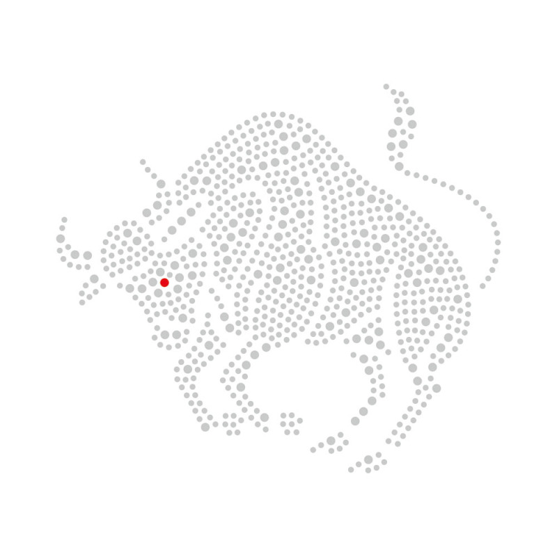 Africa Lion Bull Design Crystal Transfer Rhinestone Bling