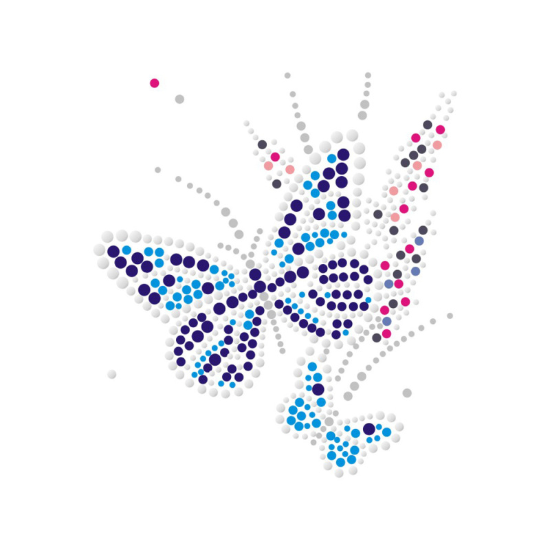 Butterfly Series Rhinestone Heat Transfer Wholesale Custom
