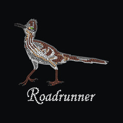 Custom Roadrunner bird design