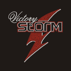 Custom "Storm" logo design