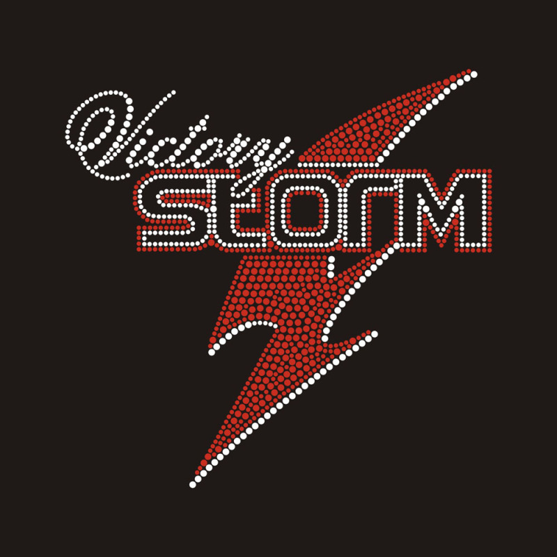 Custom "Storm" logo design
